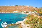 GriechenlandWeb Psarou beach Mykonos | Psarou Strandt | GriechenlandWeb.de foto 3 - Foto GriechenlandWeb.de