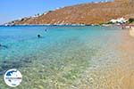 GriechenlandWeb.de Psarou beach Mykonos | Psarou Strandt | GriechenlandWeb.de foto 15 - Foto GriechenlandWeb.de