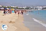GriechenlandWeb.de Agios Prokopios Strandt | Insel Naxos | Griechenland | Foto 6 - Foto GriechenlandWeb.de