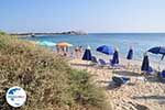 GriechenlandWeb Agia Anna | Insel Naxos | Griechenland | Foto 13 - Foto GriechenlandWeb.de