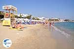GriechenlandWeb Agia Anna | Insel Naxos | Griechenland | Foto 16 - Foto GriechenlandWeb.de