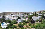 GriechenlandWeb.de Lefkes Paros - Foto GriechenlandWeb.de