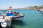 GriechenlandWeb.de Piso Livadi Paros | Kykladen | Griechenland foto 2 - Foto GriechenlandWeb.de