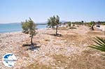 GriechenlandWeb.de Irgendwo zwischen Farangas und Aliki | Paros Kykladen | Griechenland foto 2 - Foto GriechenlandWeb.de