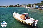 GriechenlandWeb.de Aliki Paros | Kykladen | Griechenland foto 9 - Foto GriechenlandWeb.de