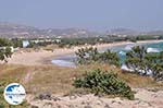 Foto Paros Kykladen GriechenlandWeb - Foto GriechenlandWeb.de