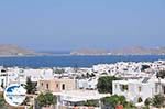 Foto Paros Kykladen GriechenlandWeb - Foto GriechenlandWeb.de