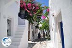 GriechenlandWeb Naoussa Paros - Foto GriechenlandWeb.de