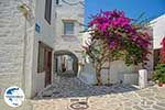 Foto Paros Kykladen GriechenlandWeb.de - Foto GriechenlandWeb.de