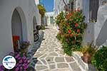 Parikia Paros - Kykladen -  Foto 62 - Foto GriechenlandWeb.de