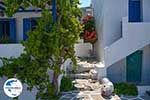 Parikia Paros - Kykladen -  Foto 69 - Foto GriechenlandWeb.de