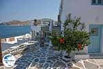 GriechenlandWeb.de Parikia Paros - Kykladen -  Foto 70 - Foto GriechenlandWeb.de