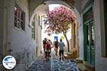 Parikia Paros - Kykladen -  Foto 76 - Foto GriechenlandWeb.de