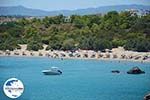 GriechenlandWeb.de Glystra beach Kiotari Rhodos - Rhodos Dodekanes - Foto 415 - Foto GriechenlandWeb.de