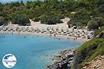GriechenlandWeb.de Glystra beach Kiotari Rhodos - Rhodos Dodekanes - Foto 422 - Foto GriechenlandWeb.de