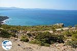 GriechenlandWeb.de Monolithos Rhodos - Rhodos Dodekanes - Foto 1111 - Foto GriechenlandWeb.de
