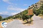 Tussen de olijfbomen und in de buurt van het Spiliani klooster, de Efpalinos tunnel und het oude theater in Pythagorion - Insel Samos - Foto GriechenlandWeb.de