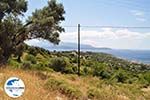 Foto Samos Ägäische Inseln GriechenlandWeb - Foto GriechenlandWeb.de
