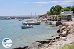 GriechenlandWeb.de Bootjes aan het haventje van Heraion (Ireon) - Insel Samos - Foto GriechenlandWeb.de