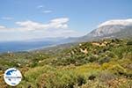 GriechenlandWeb Het Kampos (Martahokampos Votsalakia) gebied aan de hoge berg van Kerkis - Insel Samos - Foto GriechenlandWeb.de