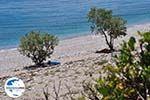 Foto Samos Ägäische Inseln GriechenlandWeb - Foto GriechenlandWeb.de
