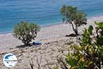 GriechenlandWeb Een verlaten kiezelstrand Kampos (Votsalakia)  - Insel Samos - Foto GriechenlandWeb.de