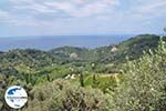 GriechenlandWeb.de Het groene gebied tussen Manolates und Agios Konstandinos - Insel Samos - Foto GriechenlandWeb.de
