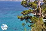 Foto Samos Ägäische Inseln GriechenlandWeb - Foto GriechenlandWeb.de