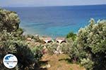 Foto Samos Ägäische Inseln GriechenlandWeb - Foto GriechenlandWeb.de