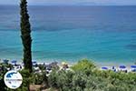 GriechenlandWeb Olivenbäumen aan Strandt Lemonakia Kokkari - Insel Samos - Foto GriechenlandWeb.de