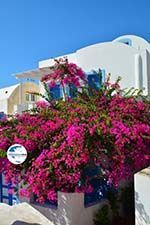 Oia Santorin | Kykladen Griechenland | Foto 1191 - Foto GriechenlandWeb.de