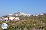 Pyrgos Santorin (Thira) - Foto 4 - Foto GriechenlandWeb.de