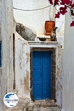 Pyrgos Santorin | Kykladen Griechenland | Foto 144 - Foto GriechenlandWeb.de
