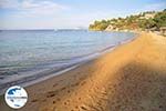 GriechenlandWeb.de Troulos beach | Skiathos Sporaden | GriechenlandWeb.de foto 4 - Foto GriechenlandWeb.de
