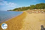 Aghia Paraskevi (Platanias beach) | Skiathos Sporaden | GriechenlandWeb.de foto 11 - Foto GriechenlandWeb.de