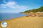 Aghia Paraskevi (Platanias beach) | Skiathos Sporaden | GriechenlandWeb.de foto 13 - Foto GriechenlandWeb.de