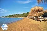 GriechenlandWeb.de Aghia Paraskevi (Platanias beach) | Skiathos Sporaden | GriechenlandWeb.de foto 15 - Foto GriechenlandWeb.de
