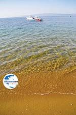 GriechenlandWeb.de Aghia Paraskevi (Platanias beach) | Skiathos Sporaden | GriechenlandWeb.de foto 17 - Foto GriechenlandWeb.de