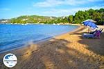 GriechenlandWeb Aghia Paraskevi (Platanias beach) | Skiathos Sporaden | GriechenlandWeb.de foto 27 - Foto GriechenlandWeb.de