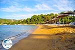 GriechenlandWeb.de Aghia Paraskevi (Platanias beach) | Skiathos Sporaden | GriechenlandWeb.de foto 30 - Foto GriechenlandWeb.de