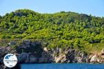 GriechenlandWeb.de De groene oostkust van Skopelos | Sporaden | GriechenlandWeb.de foto 6 - Foto GriechenlandWeb.de