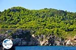 GriechenlandWeb De groene oostkust van Skopelos | Sporaden | GriechenlandWeb.de foto 6 - Foto GriechenlandWeb.de