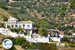 GriechenlandWeb Skopelos Stadt | Sporaden | GriechenlandWeb.de foto 54 - Foto GriechenlandWeb.de