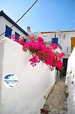 Foto Skopelos Sporaden GriechenlandWeb - Foto GriechenlandWeb.de