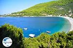 GriechenlandWeb Panormos Skopelos | Sporaden | GriechenlandWeb.de foto 7 - Foto GriechenlandWeb.de