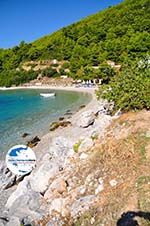 GriechenlandWeb Panormos Skopelos | Sporaden | GriechenlandWeb.de foto 12 - Foto GriechenlandWeb.de