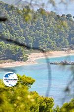 GriechenlandWeb Bij de stranden Kastani und Milia | Skopelos Sporaden | GriechenlandWeb.de foto 1 - Foto GriechenlandWeb.de