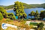 GriechenlandWeb Panormos Skopelos | Sporaden | GriechenlandWeb.de foto 18 - Foto GriechenlandWeb.de