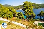 GriechenlandWeb Panormos Skopelos | Sporaden | GriechenlandWeb.de foto 19 - Foto GriechenlandWeb.de