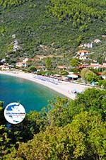 GriechenlandWeb Panormos Skopelos | Sporaden | GriechenlandWeb.de foto 25 - Foto GriechenlandWeb.de